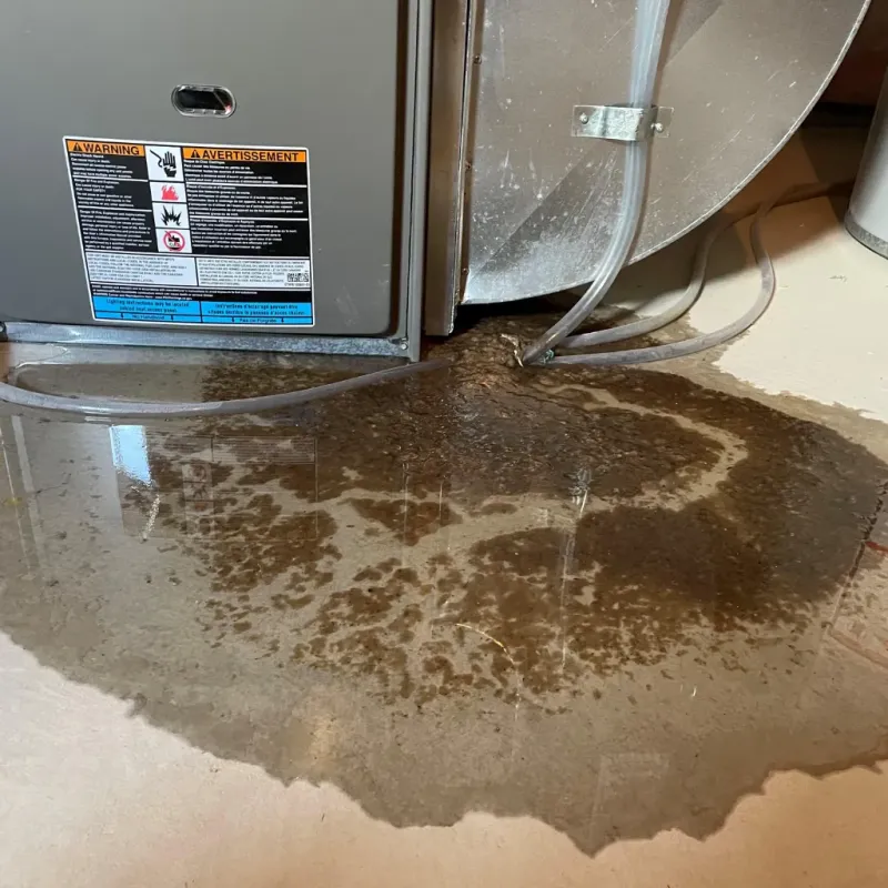 Appliance Leak Cleanup in Avoca, PA