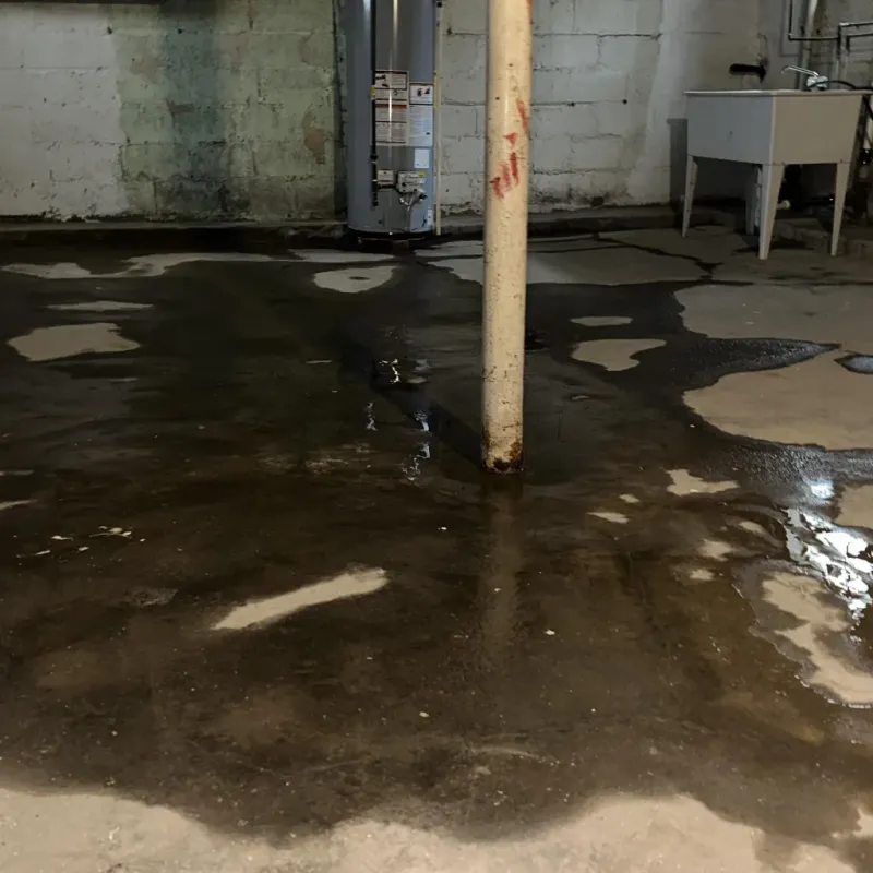 Emergency Water Extraction And Removal in Avoca, PA